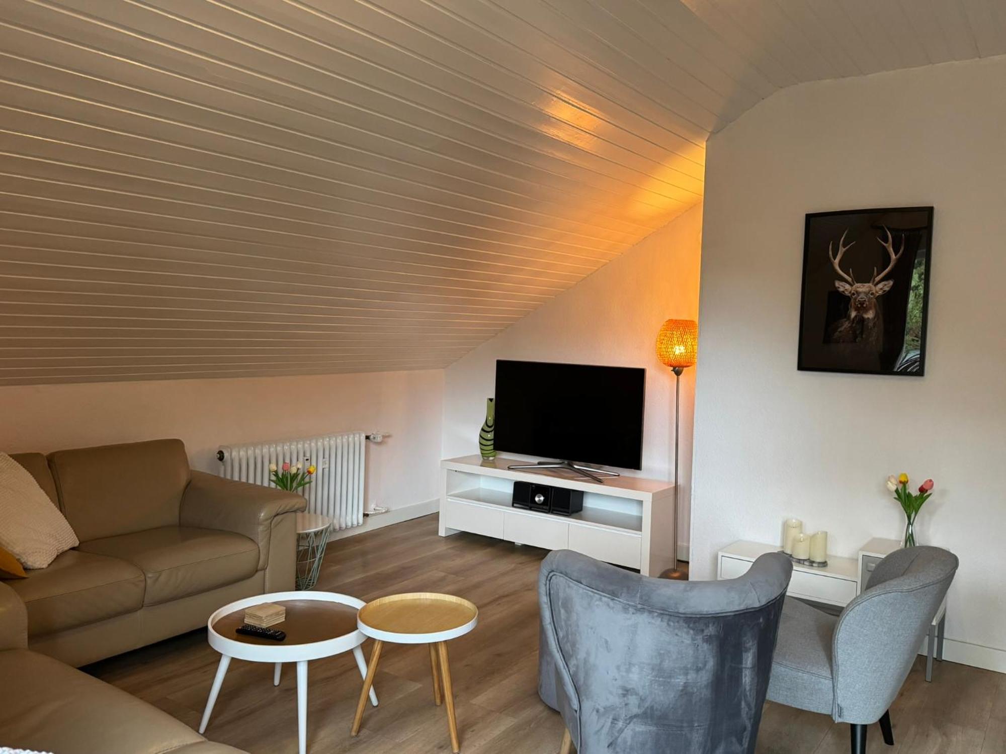 Appartement 5 Willingen *